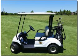 Different Types Of Golf Carts