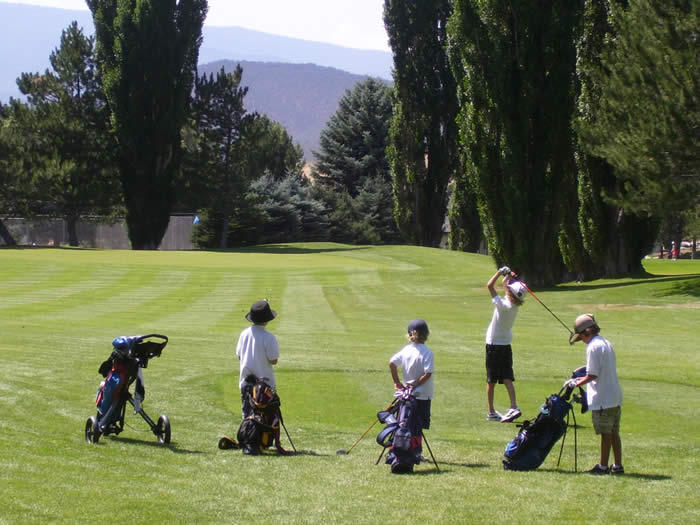 Best Junior Golf Push Cart